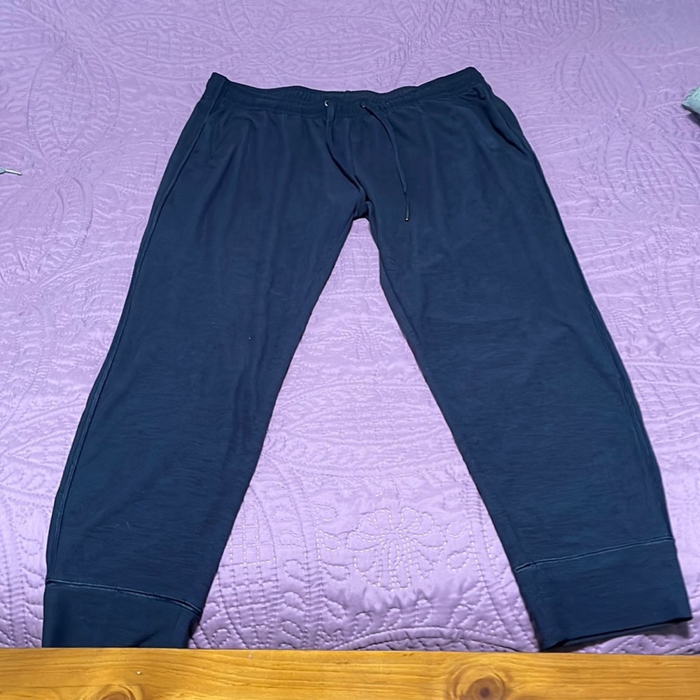 Lightweight joggers, Navy Blue, only worn 1 time.  Like new!